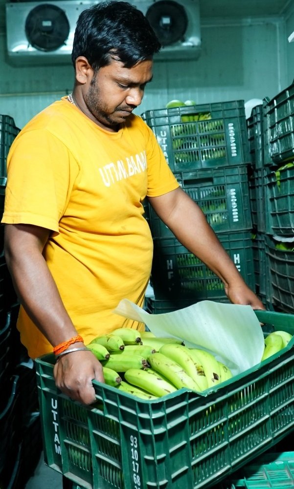 Uttam Fresh Fruits Supplier - Image 2