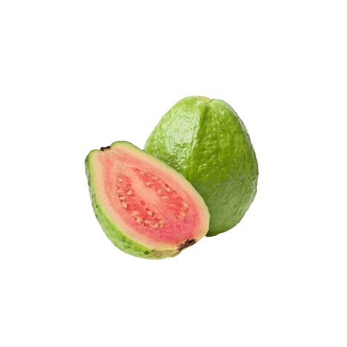 Fresh Guava Fruit