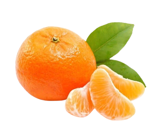 Fresh Kinnow Fruit - Uttam Fresh Fruits Supplier